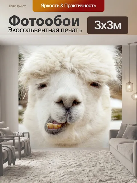 Фотообои Альпака жевательной