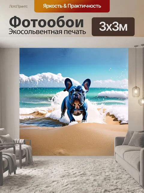 Фотообои далеко на побережье, синий французский бульдог, играющий в морских брызгах, окружен белыми пузырьками пены и…