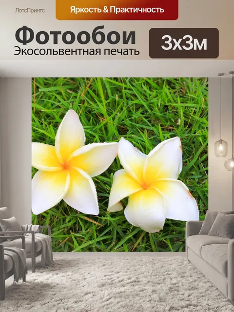 Фотообои Цветок