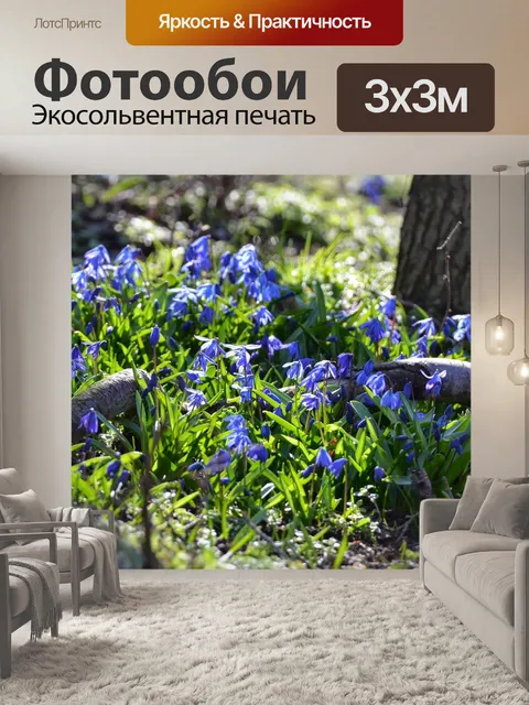 Фотообои Лес