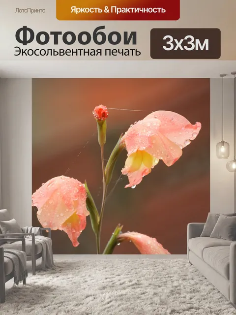 Фотообои Картинки