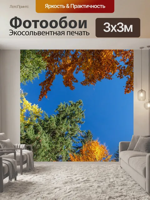 Фотообои Осенние деревья навес