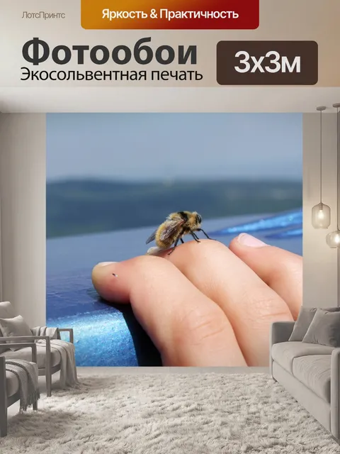 Фотообои Пчела