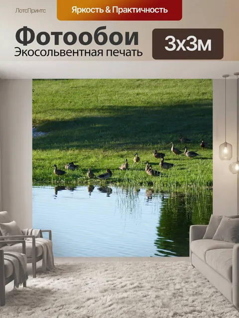 Фотообои Утки