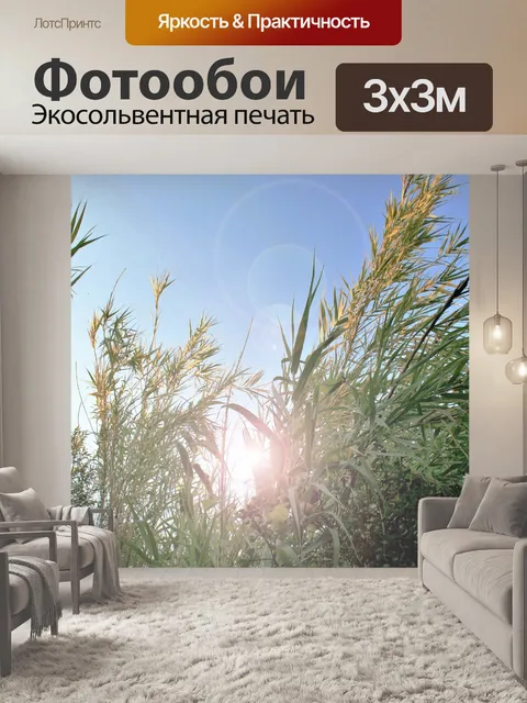 Фотообои камыш советы в солнечном свете с вспышко