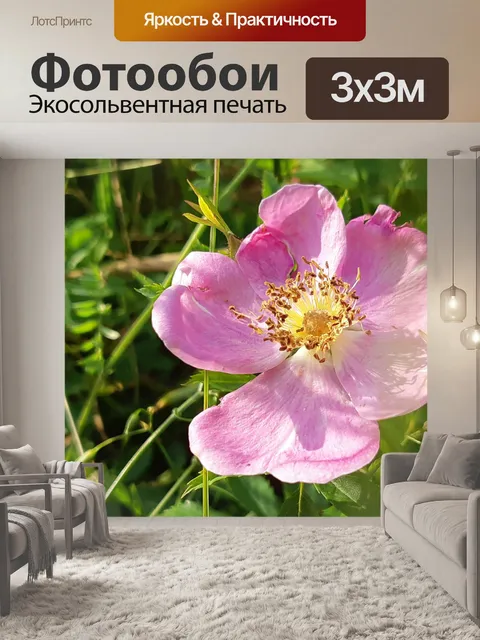 Фотообои Цветок