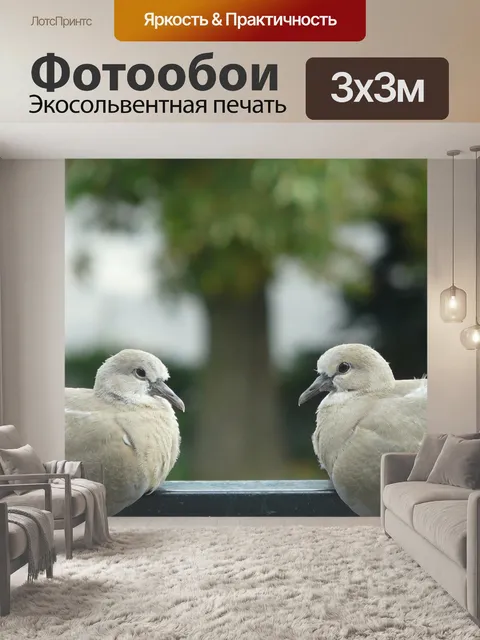 Фотообои Птицы