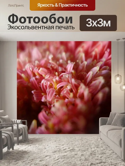 Фотообои розовые герберы