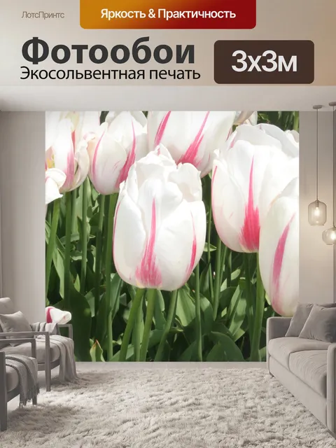 Фотообои Тюльпан