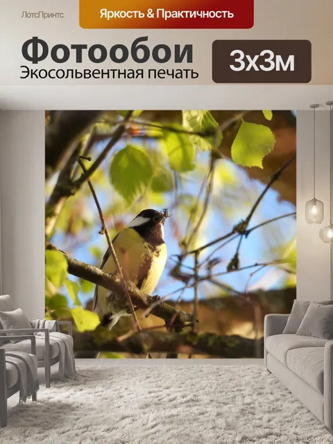 Фотообои Еда