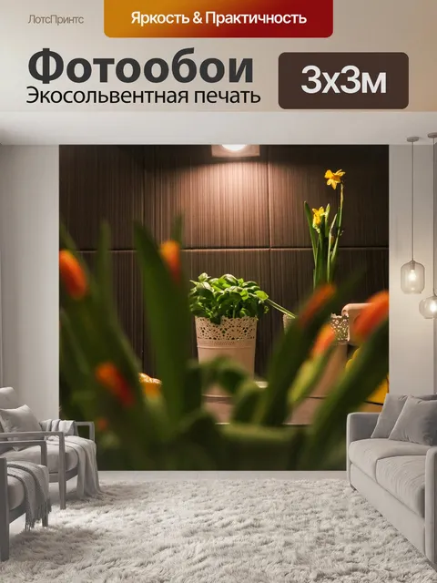 Фотообои Квартира