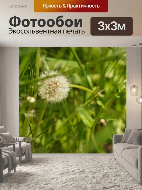 Фотообои Одуванчик