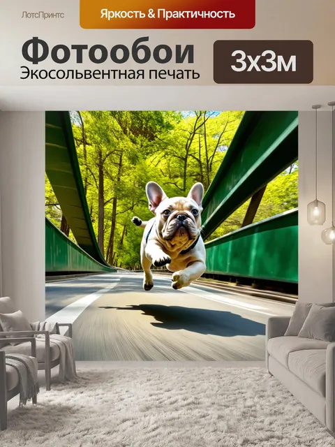 Фотообои сцена с французским бульдогом