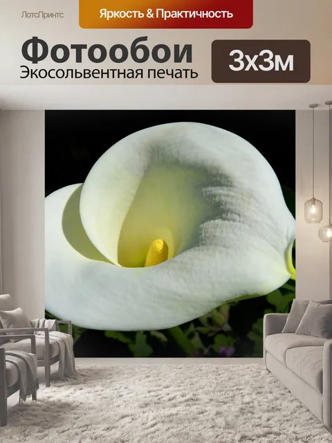 Фотообои Белая лилия