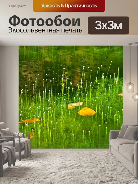 Фотообои Трава