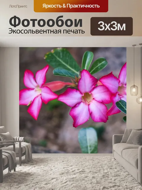 Фотообои Песок девять цветок розы розы