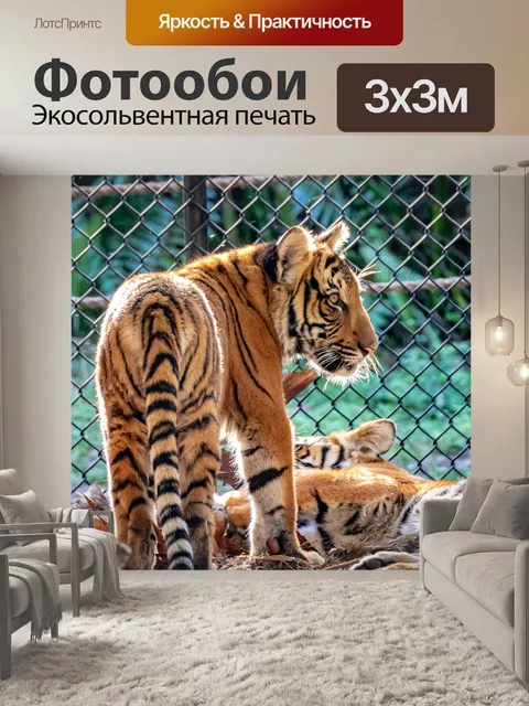 Фотообои Малайский тигренок