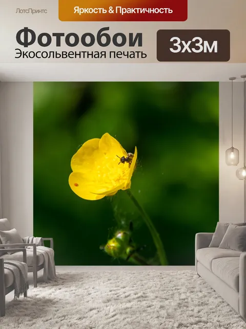 Фотообои Лютик, желтый цветок, насекомое