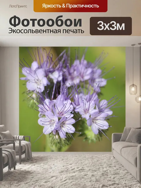 Фотообои Цветок