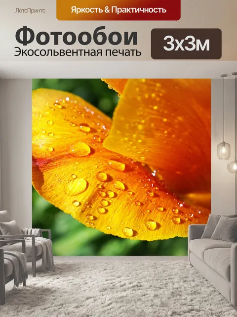 Фотообои Желтый тюльпан