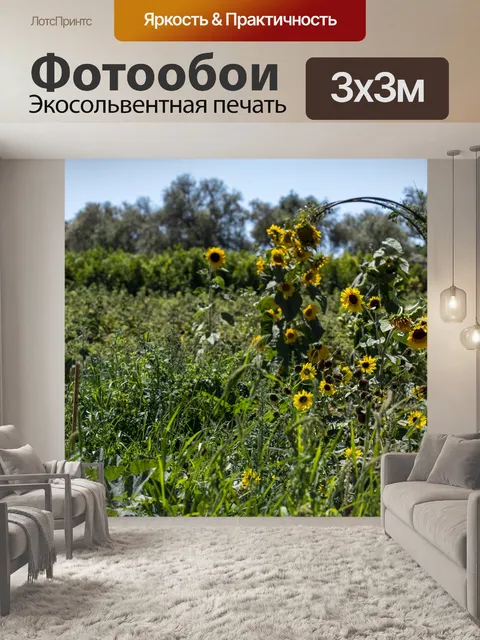 Фотообои фото поля с подсолнухами