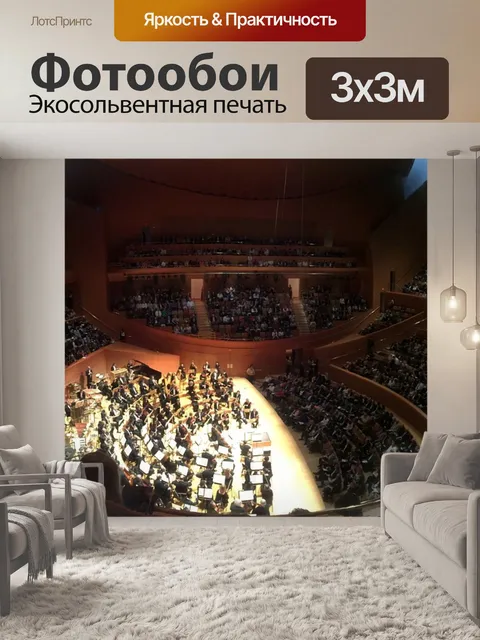 Фотообои Концертный зал диснея