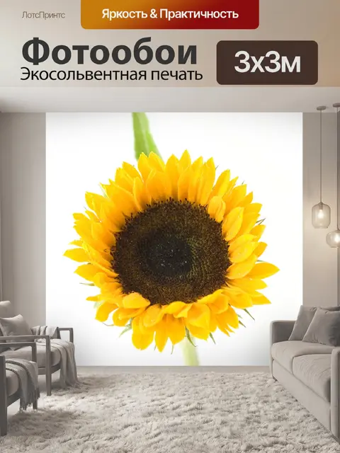 Фотообои Подсолнечник
