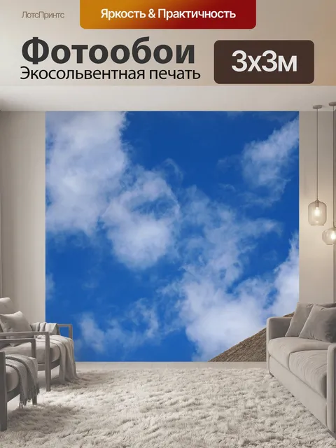 Фотообои наконечник крыши лапа и белая антенна