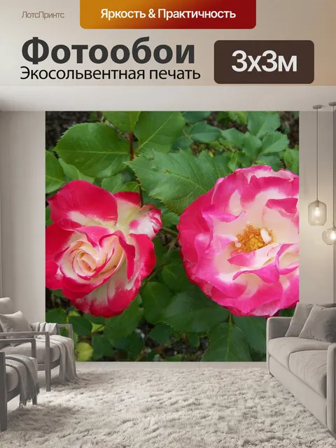 Фотообои Роуз