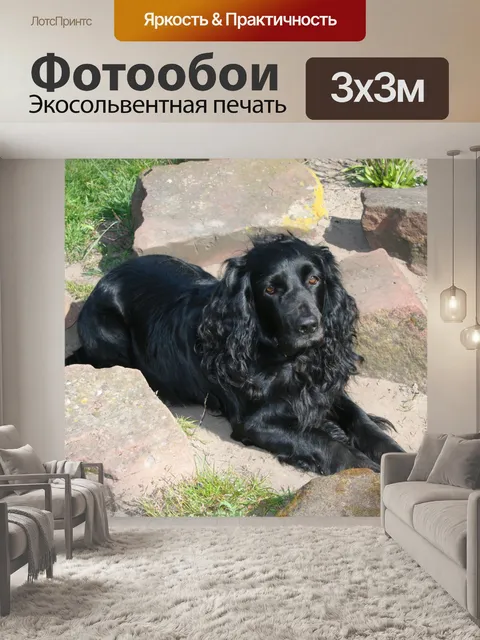 Фотообои Spanial отдыхая между скалами