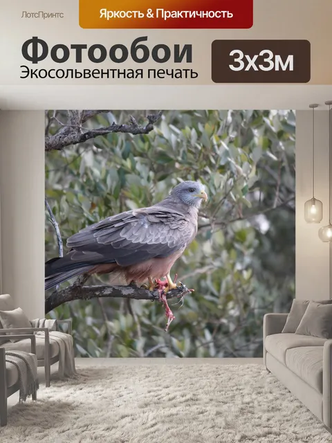 Фотообои Змей с желтым клювом