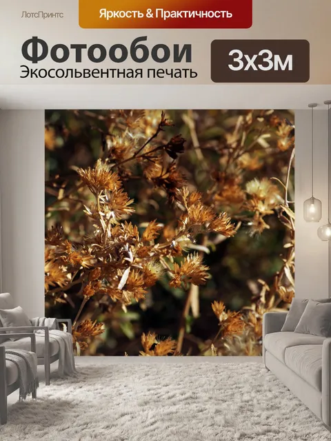 Фотообои Пустынного кустарника Фон
