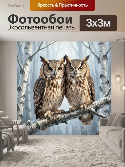 Фотообои Две совы на березе