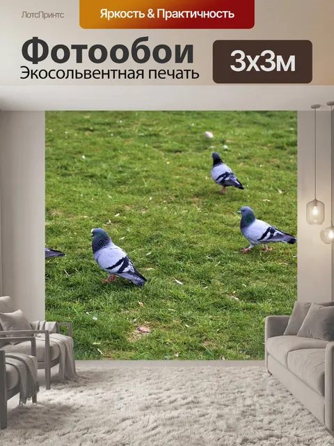 Фотообои Птицы