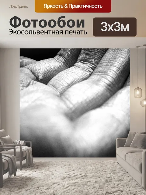 Фотообои Рука