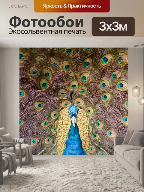 Фотообои Павлин