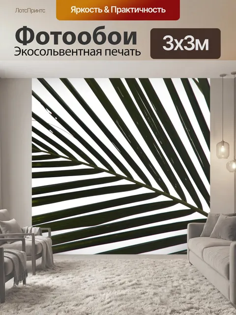 Фотообои Силуэт пальмового листа