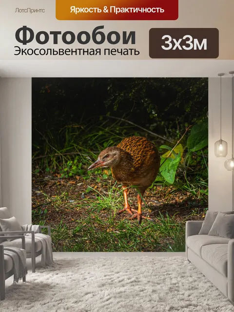 Фотообои Птица