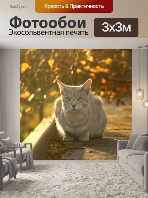 Фотообои Кот