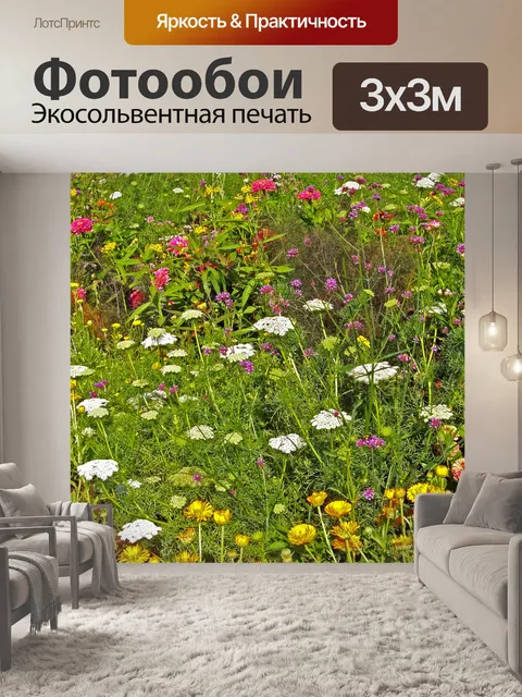 Фотообои Полевые цветы