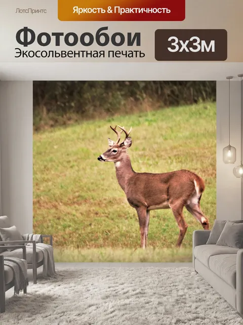 Фотообои Белый хвост Бак на склоне