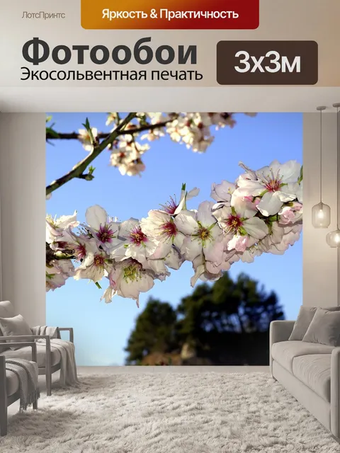 Фотообои Цветы миндаля