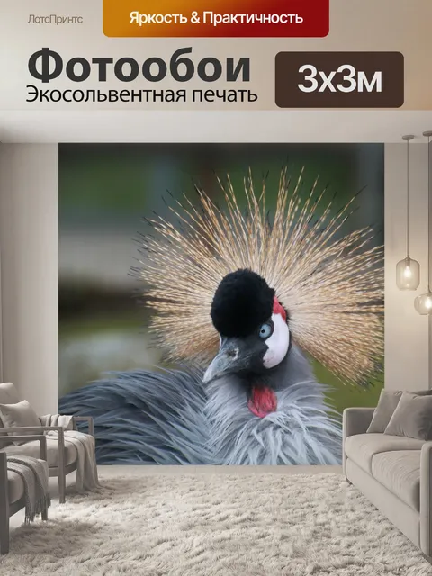 Фотообои Венценосный журавль