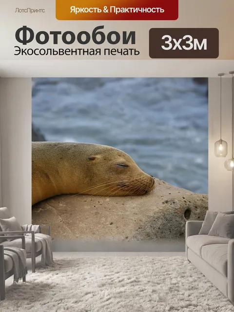 Фотообои Природа