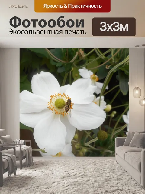 Фотообои Белый цветок и пчела