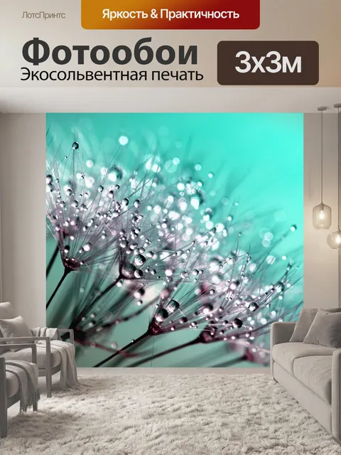 Фотообои Капли воды Капли одуванчика