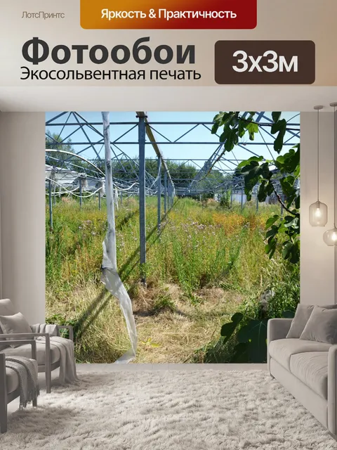 Фотообои Заброшенная теплица
