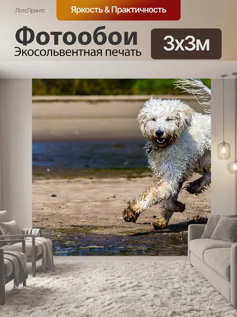 Фотообои Золотой каракули
