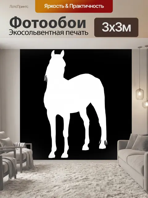 Фотообои белый конь стоя