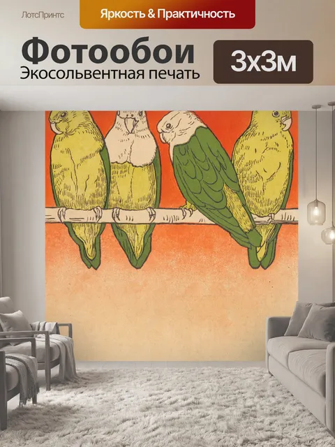 Фотообои Иллюстрация старинных птиц попугай
